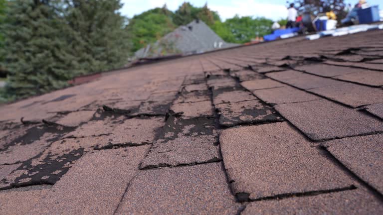 Best Roof Ventilation Installation  in Porterdale, GA